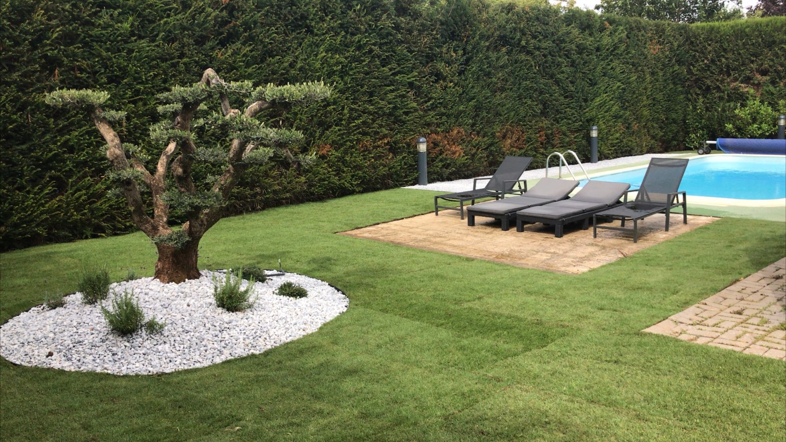 {"eId":"","CameraPosition":1}