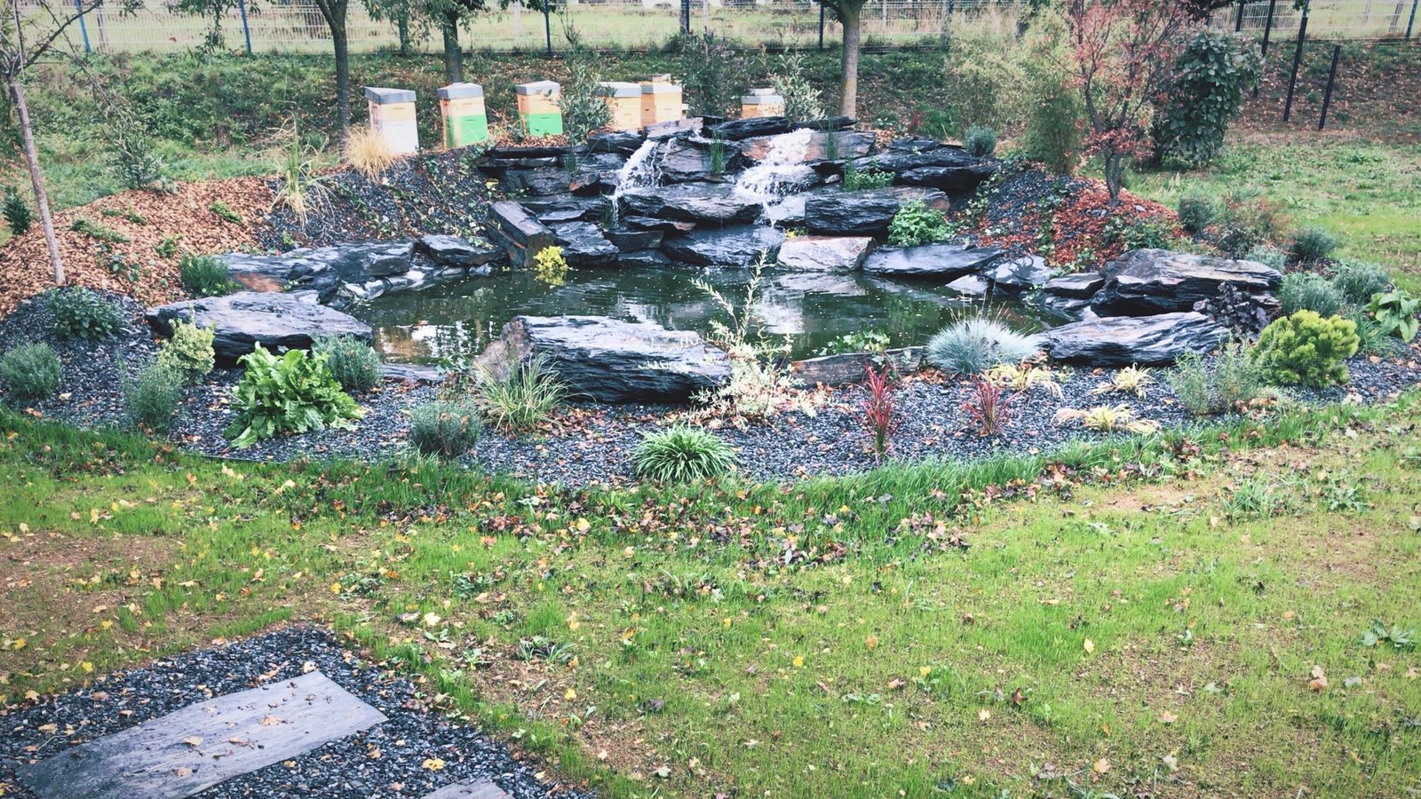 F7600ABA-D9AF-46B0-B0CF-07A966CDCB15 2