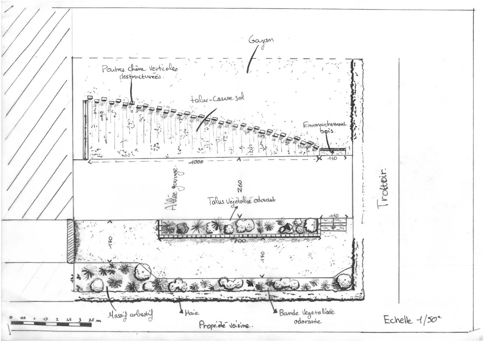 SCAN Dessin main levé TALUS LILLE